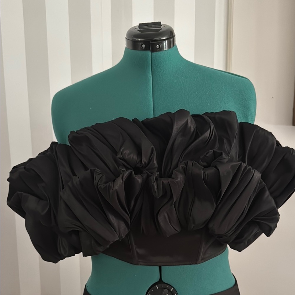 NWT Taffeta Off-Shoulder crop top